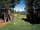 Dragon Golf 15