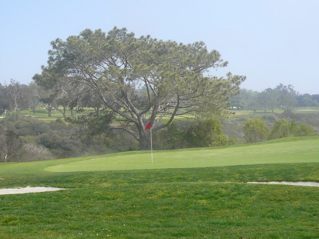 Torrey Pines