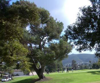 Lake San Marcos Country Club