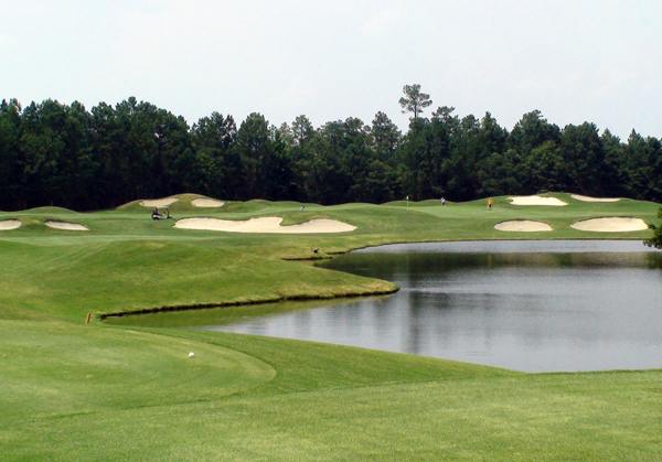 Wild Wing Plantation - Avocet course - hole 14