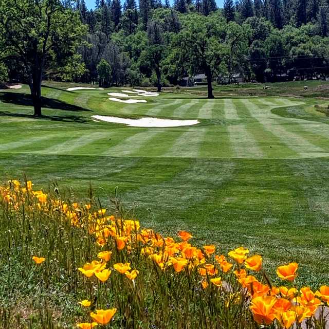 DarkHorse Golf Club in Auburn