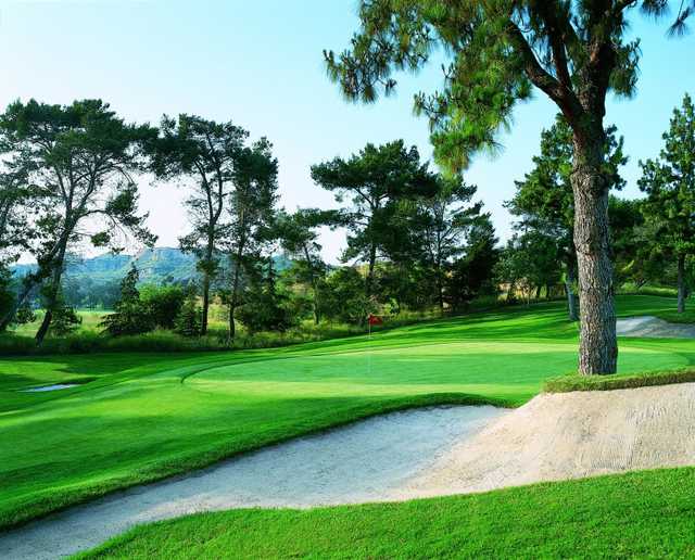 Vista/Lake at Los Coyotes Country Club in Buena Park