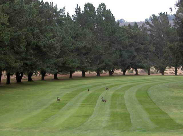 Marshallia Ranch Golf Course in Vandenberg AFB Marshallia Ranch Golf Course in Vandenberg AFB