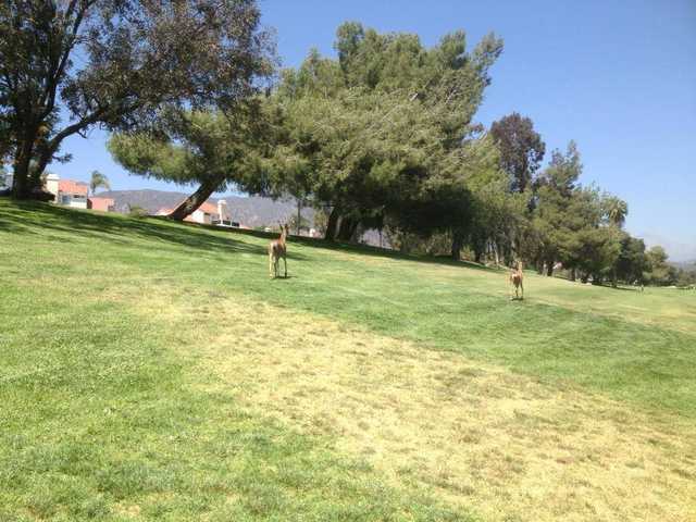 Sierra La Verne Country Club In La Verne