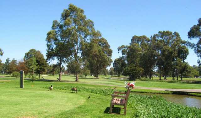 Earl Fry North Course at Corica Park in Alameda Earl Fry North Course at Corica Park in Alameda