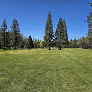 Belmont Pines GC