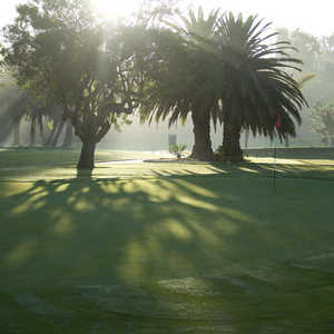 El Camino CC: #11