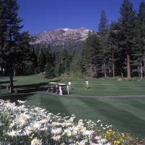 Sierra Star