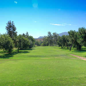 Singing Hills Golf Resort at Sycuan - Pine Glen: #10