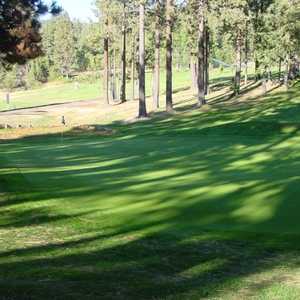 Tahoe City GC: #5