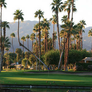 View from Rancho Las Palmas South Nine