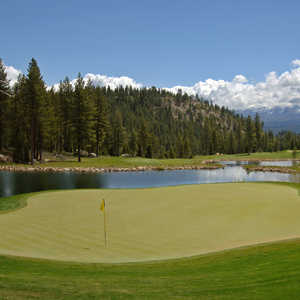 Coyote Moon GC: #16