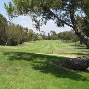 Birch Hills GC: #4