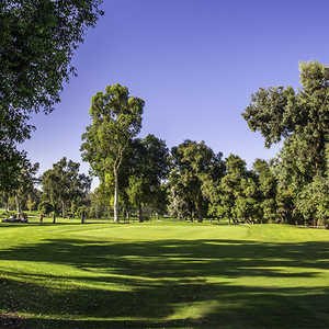 Wilson at Griffith Park GC