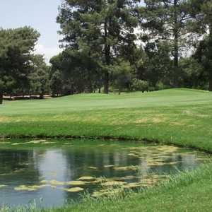 Paradise Knolls: #5