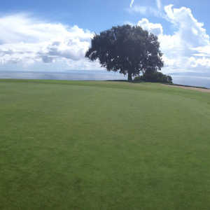 Los Verdes GC: #15