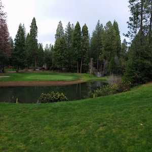 Forest Meadows GC: #9