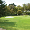 A sunny day view of a green from The Club at Crazy Horse Ranch.