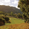 The natural setting on Carmel Valley Ranch's back nine brings one very close to nature.