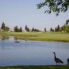 A view of fairway #5 at Lakes/Oaks from Timber Creek Golf Course.