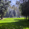 A view from Los Feliz 3-Par Golf Course