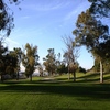 The short par-3 seventh on the South Course at Royal Vista is made difficult by overhanging limbs of nearby trees.