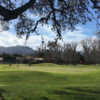 A sunny day view of a hole at Westlake Golf Course.