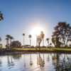 A view from Tamarisk Country Club.