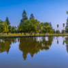 A view from Cordova Golf Course.