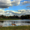 A view from Brentwood Golf Club.