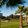 View of a green at The Lakes at El Segundo.