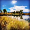 View of the 12th green from Gary Player Course at Mission Hills.