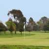 A view of a green at Salinas Fairways Golf Course