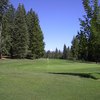 A view of green at Lake Almanor West Golf Course
