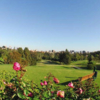 A view of a tee with roses in foreground at Bel-Air Country Club.