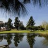 A view over the water of green at Pico Rivera Municipal Golf Course