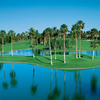 A view of the 11th hole surrounded by water at Championship Course (courtesy of Palm Valley Country Club)