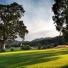 A sunny view of green at Aetna Springs Golf Course