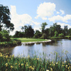 A view of green #17 with water coming into play at Riverview Golf & Country Club