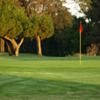 A sunny view of a green at Sunnyvale Golf Course (Marty Wayne)