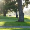 A sunny view of the 2nd green at Rio Hondo Golf Club