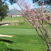 A spring view of a hole with bridge on the left side at The Club at Crazy Horse Ranch