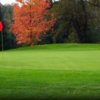 A fall view of green at Black Oak Golf Course