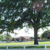 A view of the clubhouse at Wilcox Oaks Golf Club