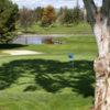 A view of green at Santa Teresa Golf Club
