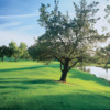 A view of a green with water on the right at Oaks North Golf Course.