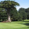 A view of green #4 at Gleneagles GC at McLaren Park