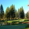 A view of the 15th hole at Old Greenwood Golf Course