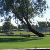 View of a green at Desert Trail RV Resort & Golf Course