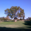 A view from Dryden Park Golf Course